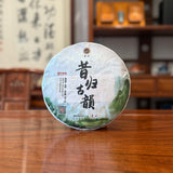 2017 "Xigui Gu Yun" Raw (Sheng) Pu'er Tea Cake
