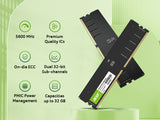 Память Acer 16 ГБ (1x16 ГБ) DDR5 5600 МГц UD200 BL.9BWWA.422 (RM-AU5C16)