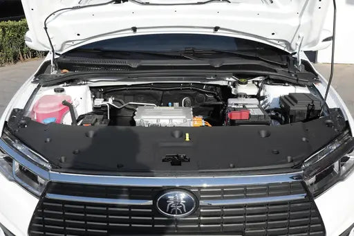 BYD Qin EV