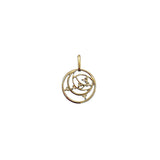 Star Orbit Diamond Coin Pendant Silver