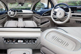 ORA Good Cat 2024 models 501km