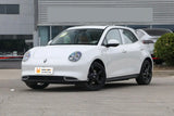 ORA Good Cat 2024 models 401km